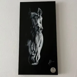 tableau clair obscur 'Etoile'