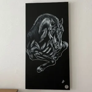 tableau cheval noir et blanc 'Xanthe'
